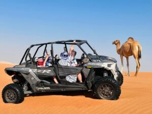 desert-safari-with-dune-buggy-ride